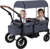 Foldable gray wagon stroller for 2 kids with removable canopy, adjustable handles, and large storage bag for outings.