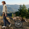 Folding deer game cart with polyester liner, 550 lbs capacity, shown in use for hunting in a forested area.