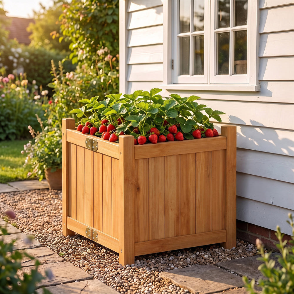 Folding square fir wood raised garden bed with strawberries, featuring a removable bottom for drainage and ventilation.