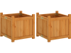 Set of 2 folding square fir wood raised garden beds with removable bottoms, perfect for flowers and herbs in any outdoor space.