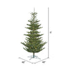 Vickerman Alberta Spruce Artificial Christmas Tree 6' x 48" Warm White LED Lights New