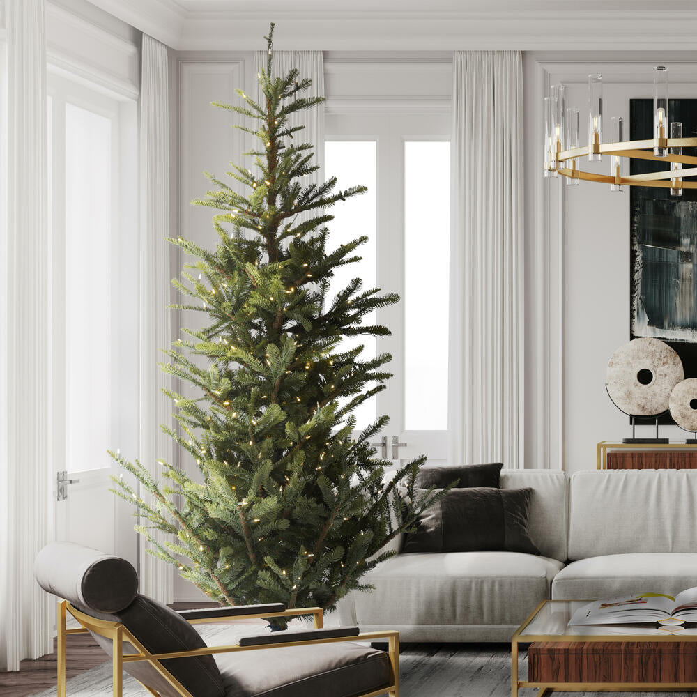 Vickerman Alberta Spruce Artificial Christmas Tree 6' x 48" Warm White LED Lights New