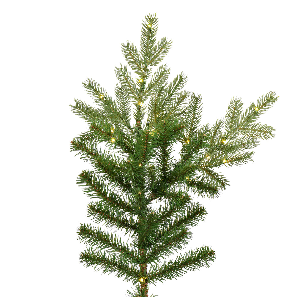 Vickerman Sherwood Fir Artificial Christmas Tree 7.5' x 67" Warm White LED Lights New