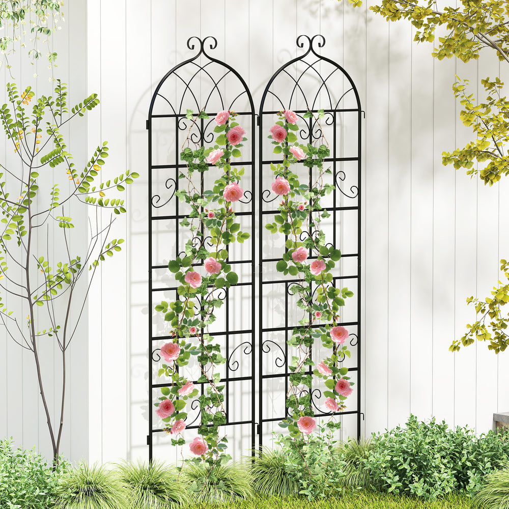 Metal garden trellis set featuring elegant vine design, perfect for supporting climbing plants in outdoor spaces.