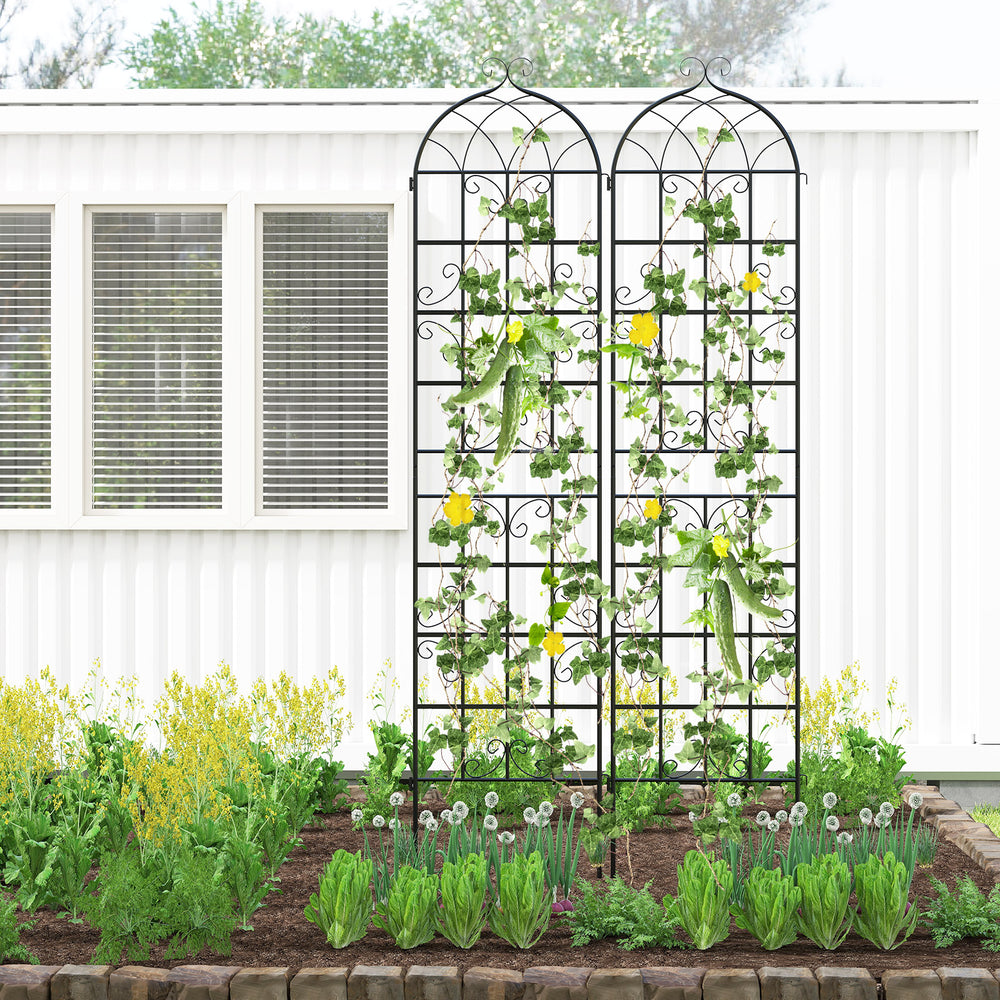 Metal garden trellis set for climbing plants, featuring a vine design, sturdy rustproof construction, ideal for outdoor.