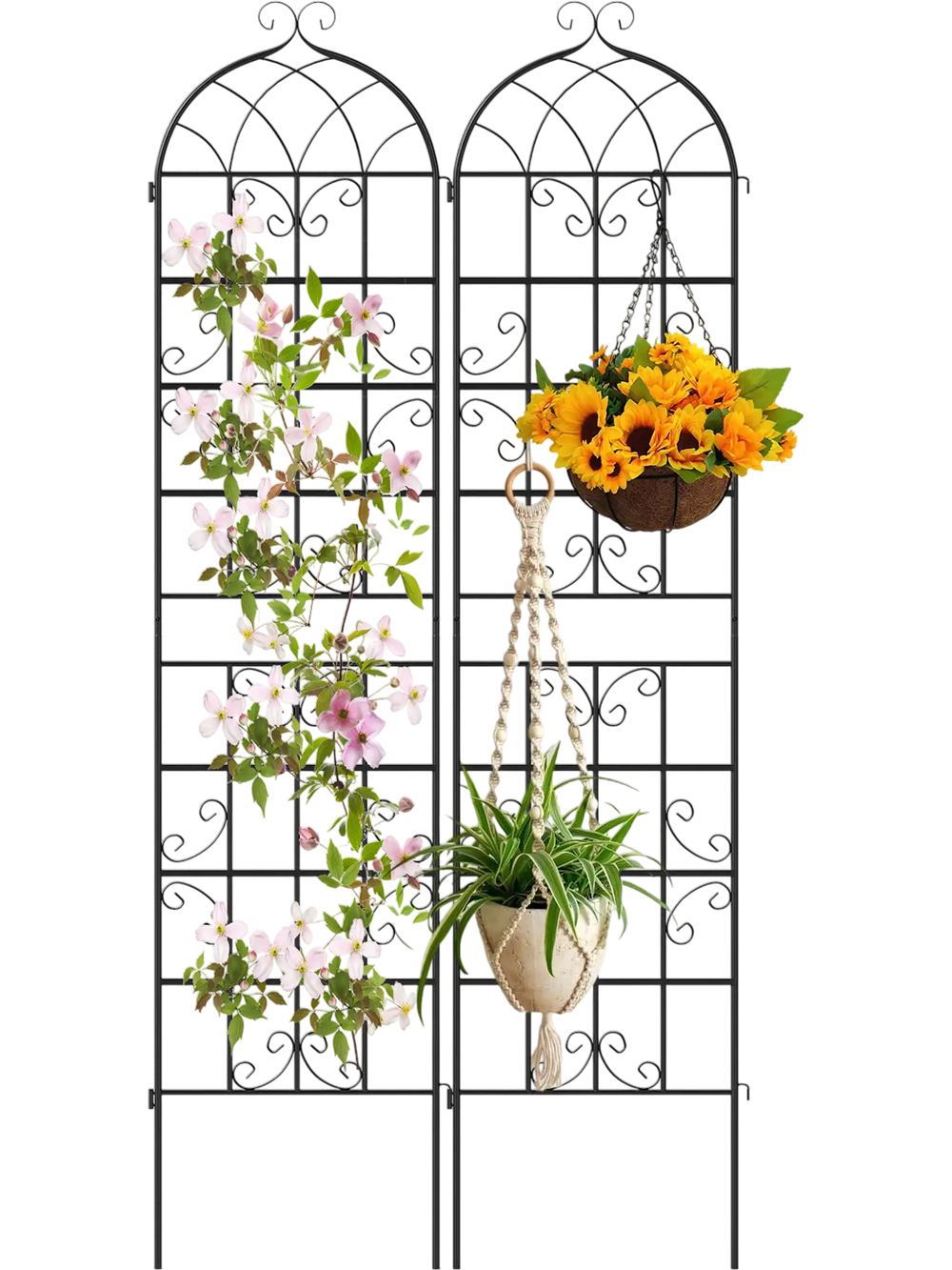 2 Pack 86" x 20" Metal Garden Trellis for Outdoor Climbing Plants