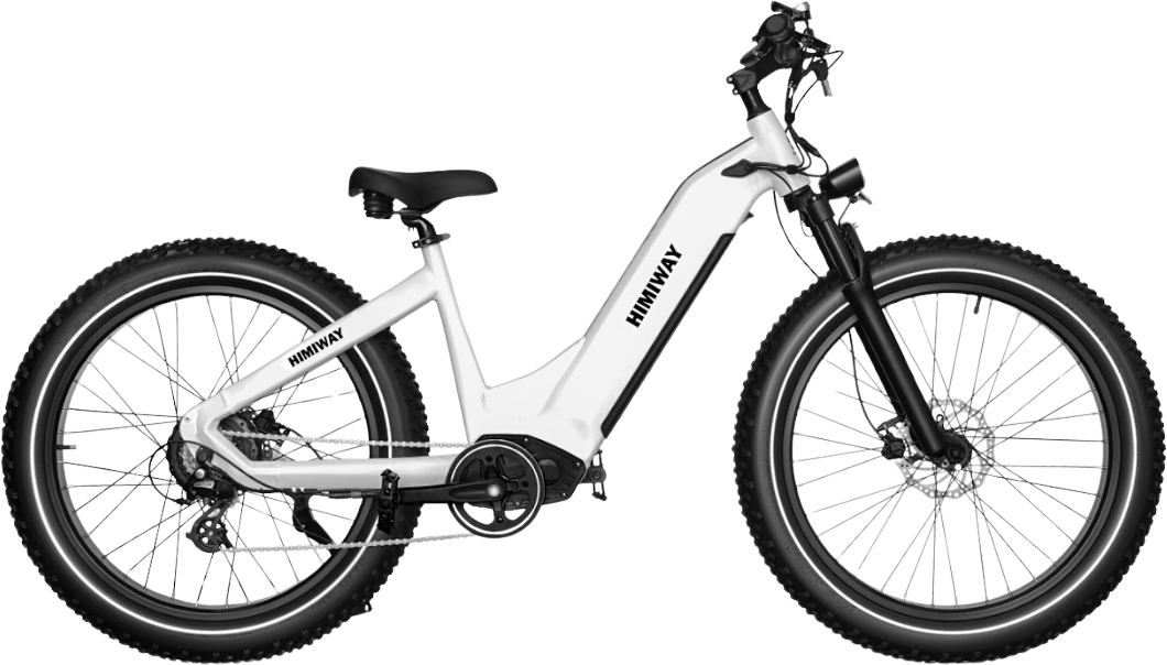 Himiway Zebra ST Electric Bicycle 48V 750W Cadence Sensor 20 MPH Step-Thru 26