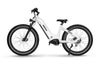 Himiway Zebra ST Electric Bicycle 48V 750W Cadence Sensor 20 MPH Step-Thru 26" Fat Tire New