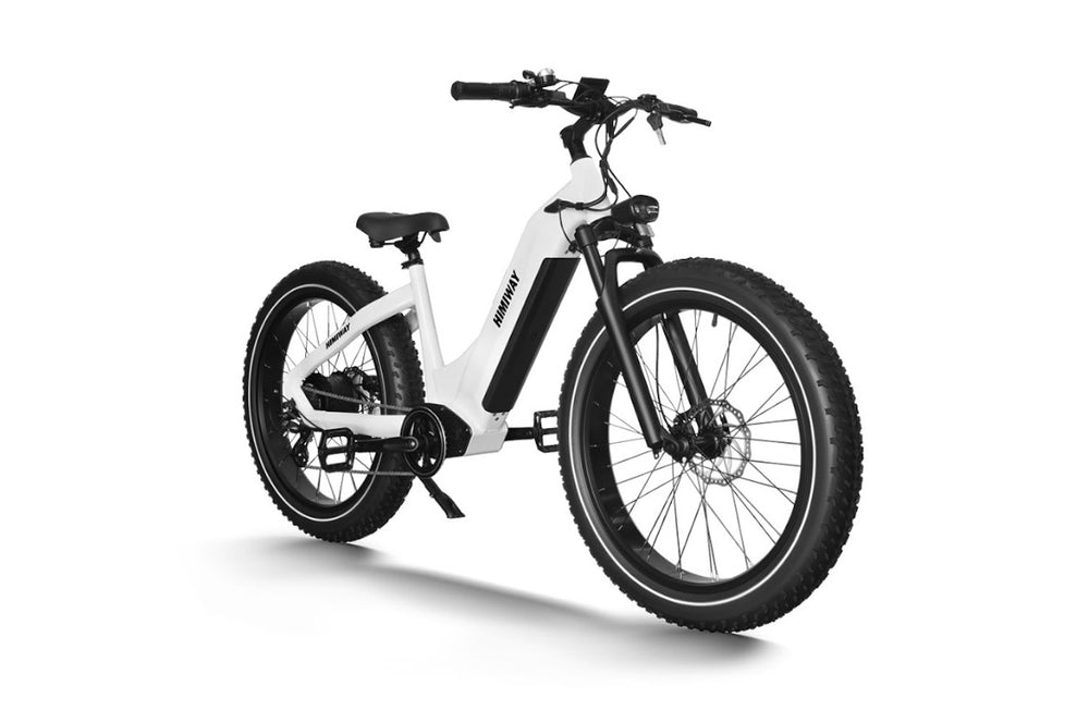 Himiway Zebra ST Electric Bicycle 48V 750W Cadence Sensor 20 MPH Step-Thru 26" Fat Tire New