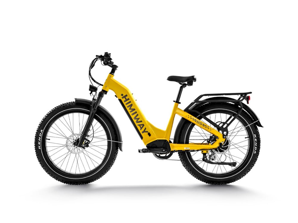 Himiway Zebra ST Electric Bicycle 48V 750W Cadence Sensor 20 MPH Step-Thru 26" Fat Tire New