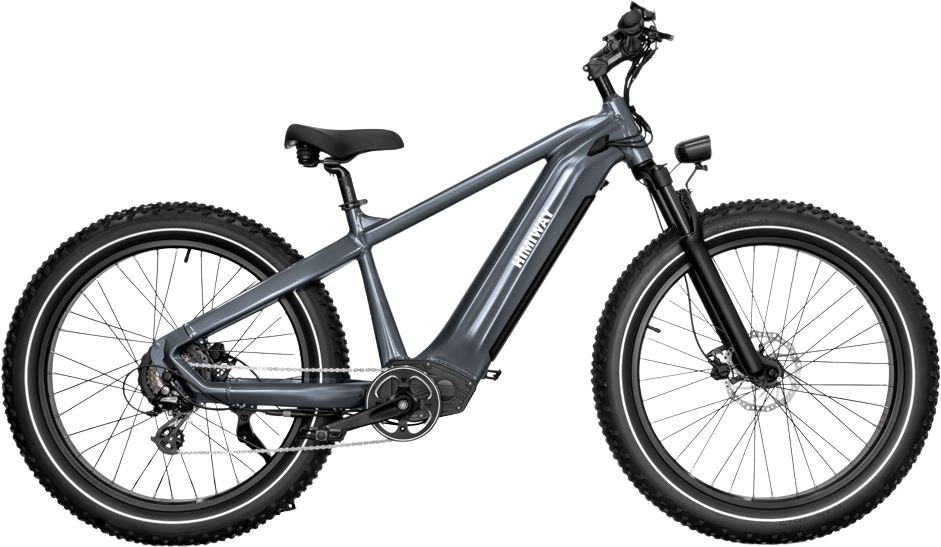 Himiway Zebra Electric Bicycle 48V 750W 20 MPH Cadence Sensor 26