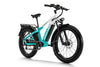 Himiway Zebra Electric Bicycle 48V 750W 20 MPH Cadence Sensor 26" Fat Tire New