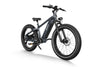 Himiway Zebra Electric Bicycle 48V 750W 20 MPH Cadence Sensor 26" Fat Tire New