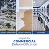 AlorAir HD55 Sentinel Basement/Crawlspace Dehumidifier 53 Pints Auto Defrost Blue New