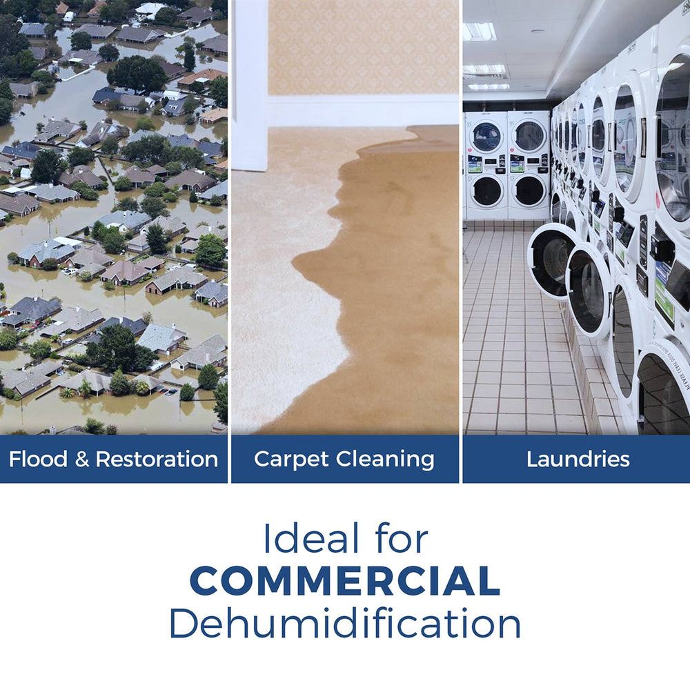 AlorAir HD55 Sentinel Basement/Crawlspace Dehumidifier 53 Pints Auto Defrost Blue New