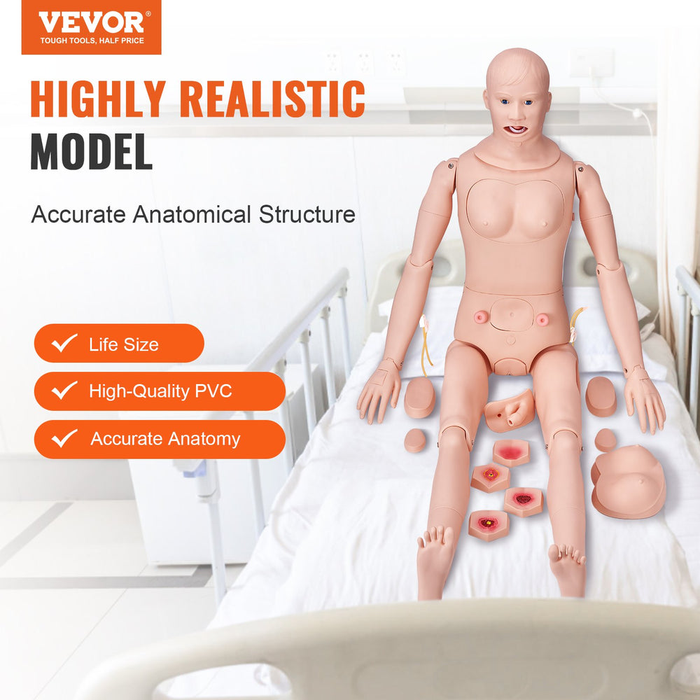 Vevor Training Manikin Life-Size PVC Male/Female Anatomical Model for Comprehensive Nursing Practice New