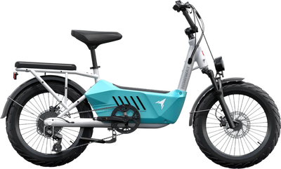 Himiway C3 Cargo Electric Bicycle 48V 750W 20 MPH Torque Sensor 20
