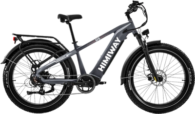 Himiway Zebra D5 Electric Bicycle 48V 750W 20 MPH Torque Sensor 26