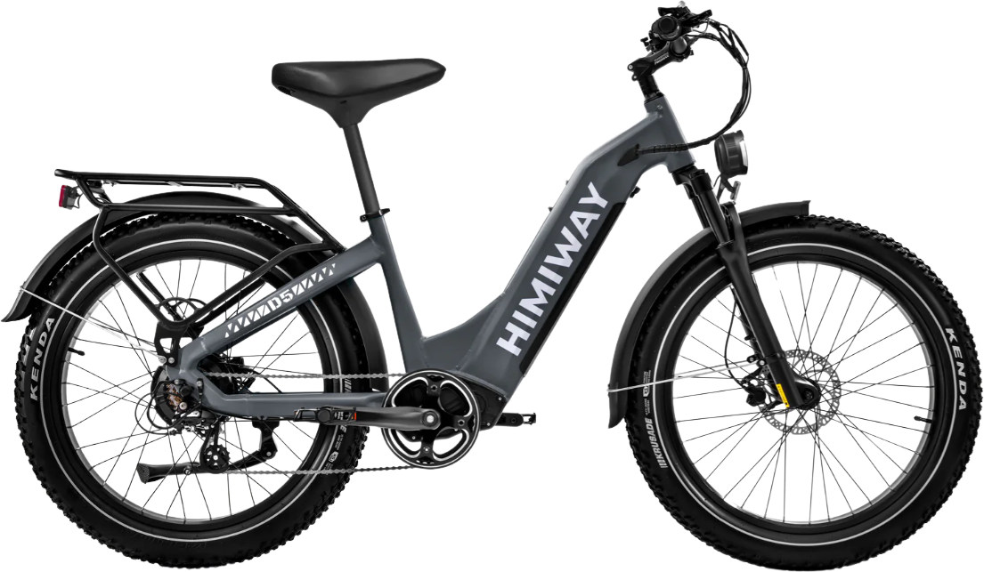 Himiway Zebra D5 ST Electric Bicycle 48V 750W Torque Sensor 20 MPH Step-Thru 26