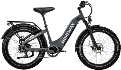 Himiway Zebra D5 ST Electric Bicycle 48V 750W Torque Sensor 20 MPH Step-Thru 26