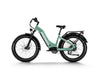 Himiway Zebra D5 ST Electric Bicycle 48V 750W Torque Sensor 20 MPH Step-Thru 26" Fat Tire New