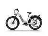 Himiway Zebra D5 ST Electric Bicycle 48V 750W Torque Sensor 20 MPH Step-Thru 26" Fat Tire New