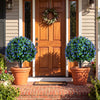 Artificial lavender boxwood topiary ball trees in terracotta pots, 27.5", for vibrant front porch and patio decoration.