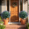 Artificial lavender boxwood topiary ball trees in terracotta pots, featuring dense foliage and purple flowers for.