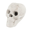 Realistic beige ceramic fibre skull decoration for Halloween, designed for fire pits with spooky details and fireproof.