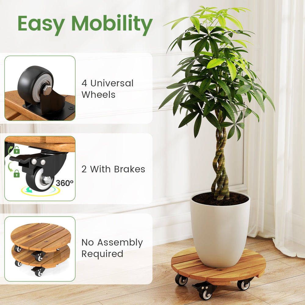 Heavy duty acacia wood rolling plant stand with 360° lockable casters, ideal for easy mobility and stability.