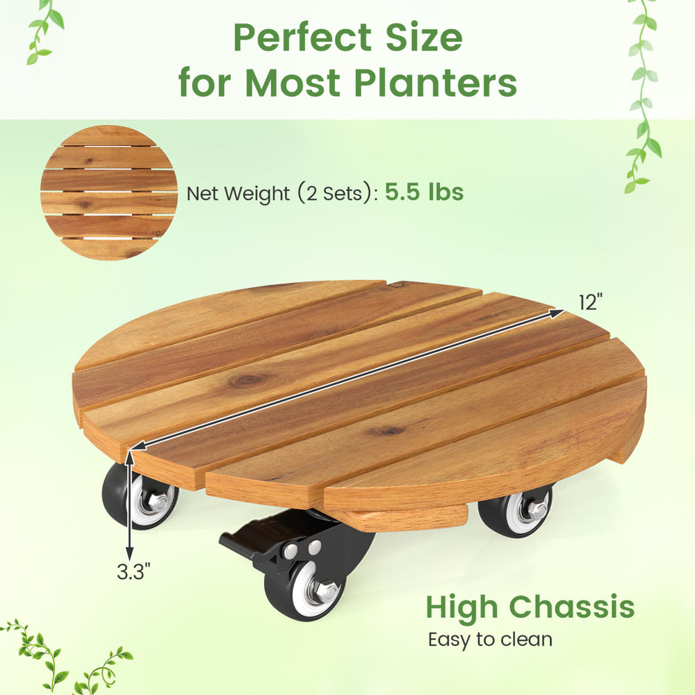 Heavy duty acacia wood rolling plant stand with 360° lockable casters, 12" base, perfect for most planters.