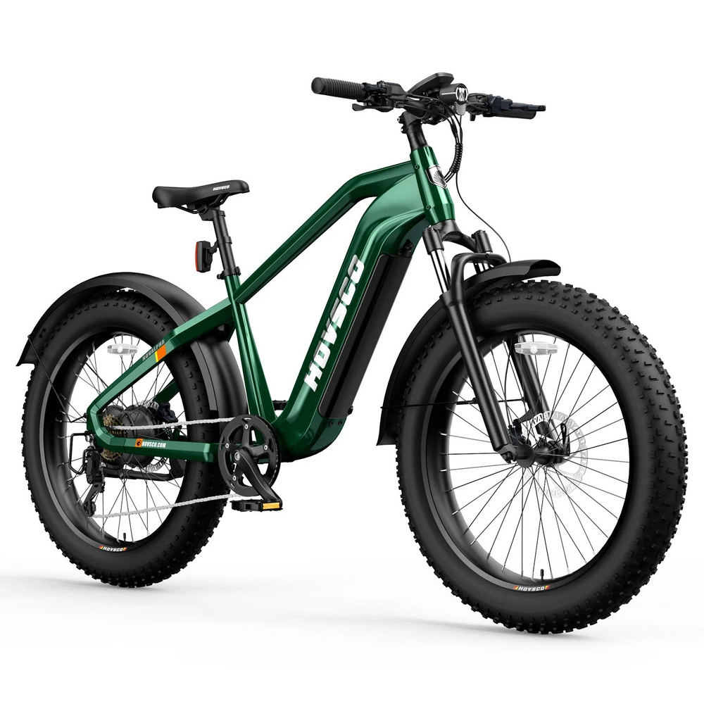 Hovsco HovAlpha Fat Tire Electric Bicycle 7 Speed 26" 750W Motor 28 MPH 80 Mile Range 48V 20Ah Lithium Battery New