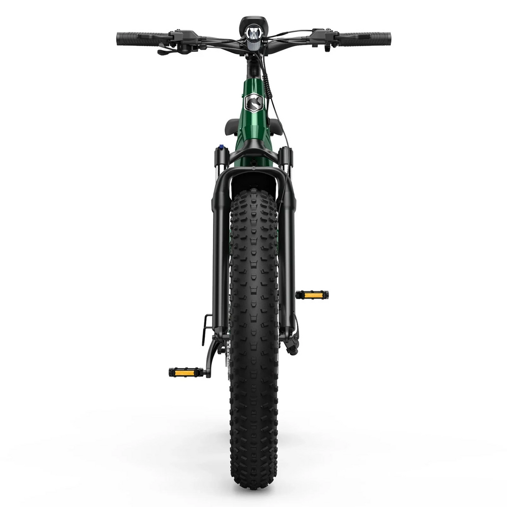 Hovsco HovAlpha Fat Tire Electric Bicycle 7 Speed 26" 750W Motor 28 MPH 80 Mile Range 48V 20Ah Lithium Battery New