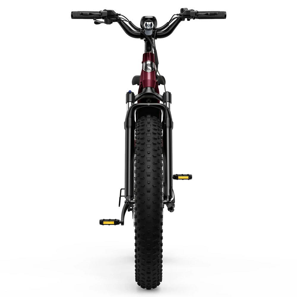 Hovsco HovAlpha Step Thru Fat Tire Electric Bicycle 7 Speed 26" 750W Motor 28 MPH 80 Mile Range 48V 20Ah Lithium Battery New