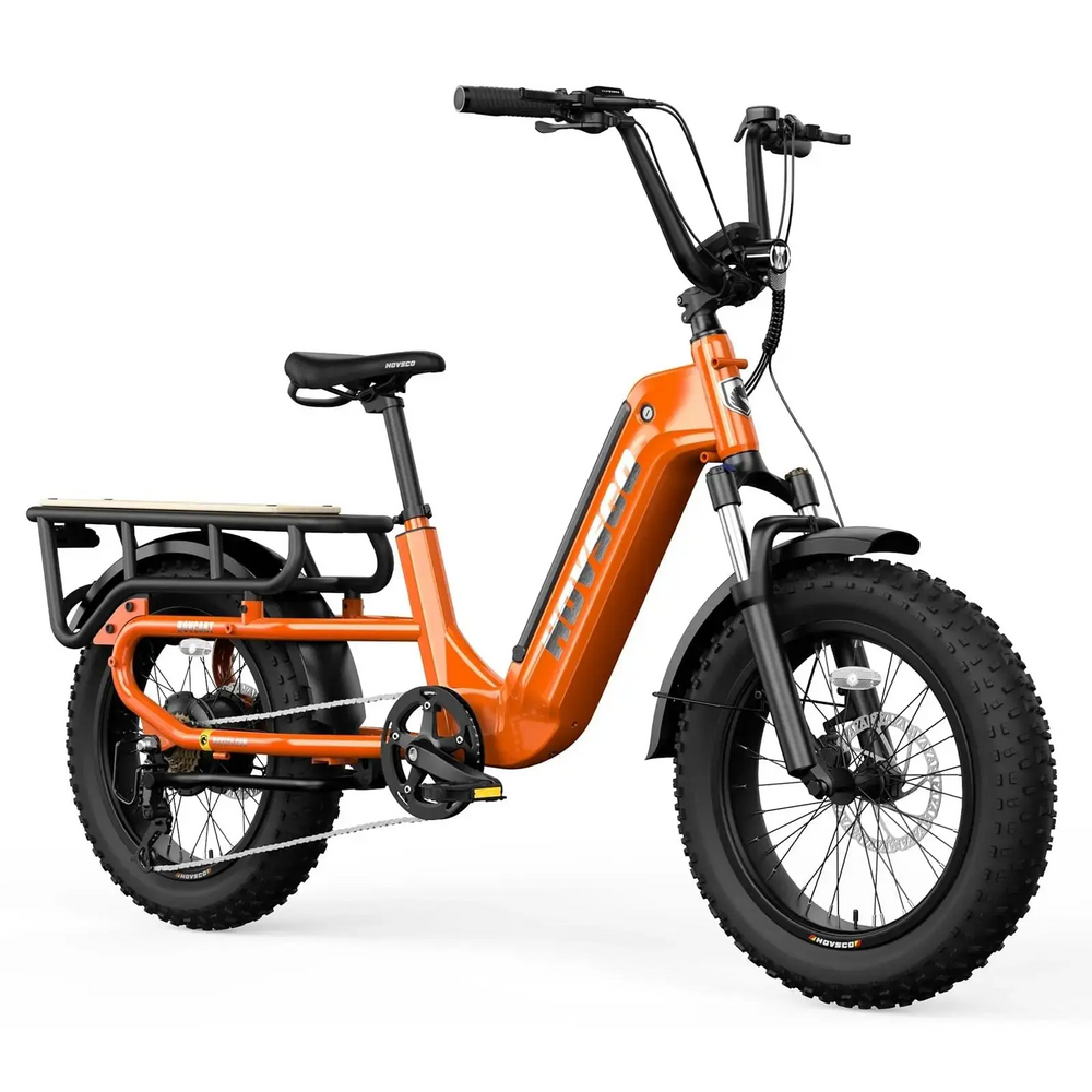 Hovsco HovCart Fat Tire Step Thru Cargo Electric Bicycle 7 Speed 20" 750W Motor 28 MPH 60 Mile Range 48V 15Ah Lithium Battery New