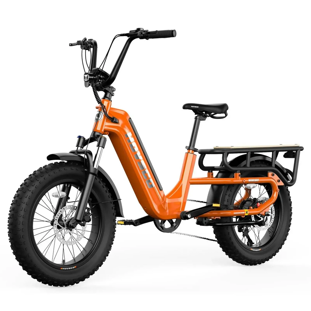 Hovsco HovCart Fat Tire Step Thru Cargo Electric Bicycle 7 Speed 20" 750W Motor 28 MPH 60 Mile Range 48V 15Ah Lithium Battery New