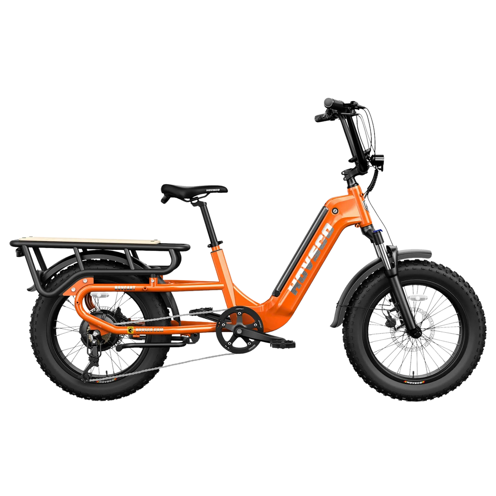 Hovsco HovCart Fat Tire Step Thru Cargo Electric Bicycle 7 Speed 20" 750W Motor 28 MPH 60 Mile Range 48V 15Ah Lithium Battery New