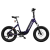 Hovsco HovBeta Foldable Fat Tire Electric Bicycle 7 Speed 20" 750W Motor 28 MPH 60 Mile Range 48V 15Ah Lithium Battery New