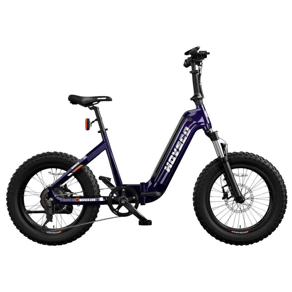 Hovsco HovBeta Foldable Fat Tire Electric Bicycle 7 Speed 20" 750W Motor 28 MPH 60 Mile Range 48V 15Ah Lithium Battery New