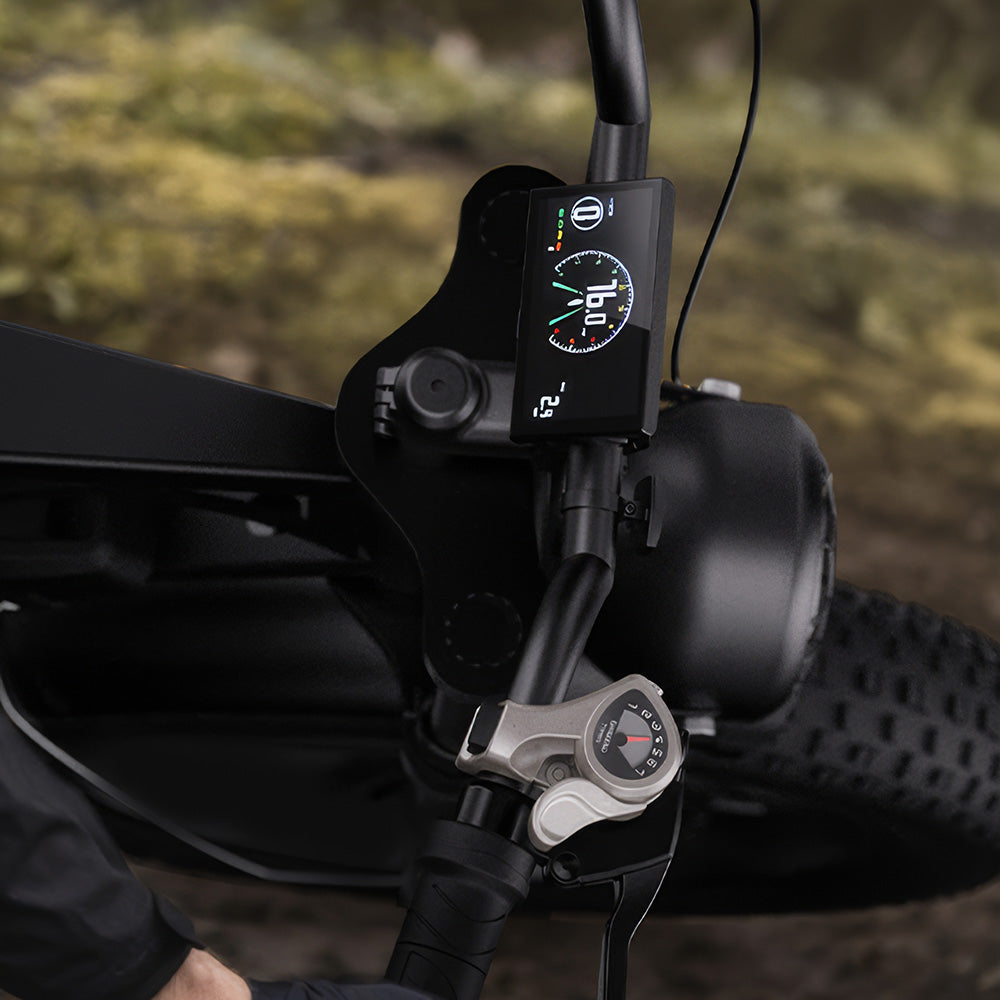 CycHunter Moped Style Ebike