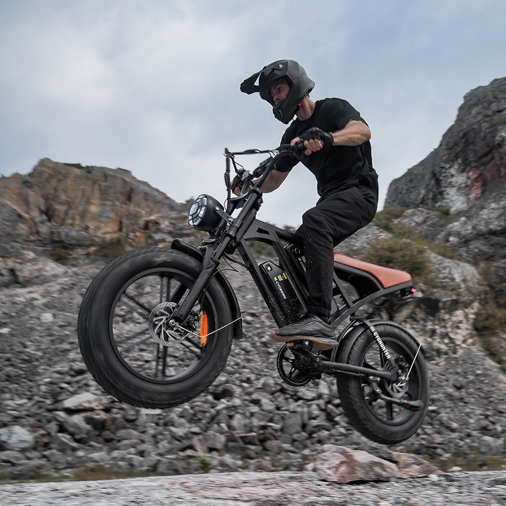 CycHunter Moped Style Ebike