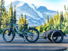 Himiway D5 2.0 Camo Electric Bike 70 Mile Range 28 MPH Step Thru 48V 750W New