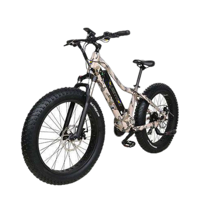 QuietKat 18QKM750CCHM-LT-CAM Zion 750W 48V 26