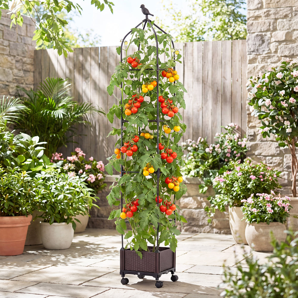 Indoor outdoor raised garden bed with trellis, featuring tomatoes, on wheels for easy movement in a garden setting.