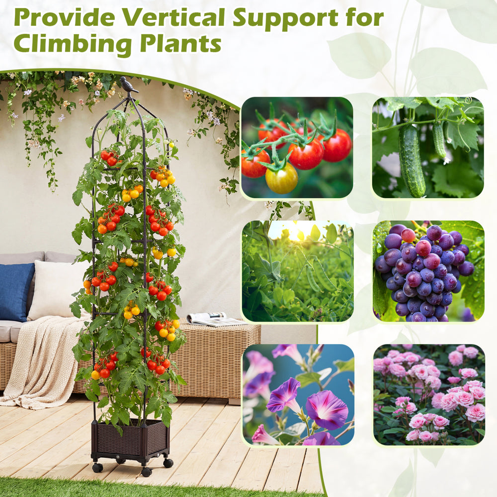 Indoor outdoor raised garden bed with trellis, self-drainage, and wheels for growing tomatoes and cucumbers.