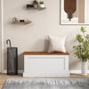Large Storage Chest with Safety Metal Hinge-White - Gallery View 1 of 10