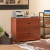 2-Drawer Lateral File Cabinet with Adjustable Bars for Home and Office-Walnut - Gallery View 1 of 10