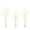 Set of 3 lighted birch trees in 4, 5, and 6 ft heights with warm white LED lights for holiday decorating.