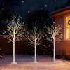 Set of 3 lighted birch trees (4, 5, 6 ft) with warm white LED lights for enchanting holiday decor.
