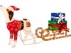 Outdoor Pre-lit Xmas Dog and Sleigh with 170 Warm Bright Lights for Porch